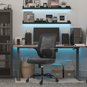 Silla de Oficina Giratoria Regulable en Altura y Lumbar Apta Negro