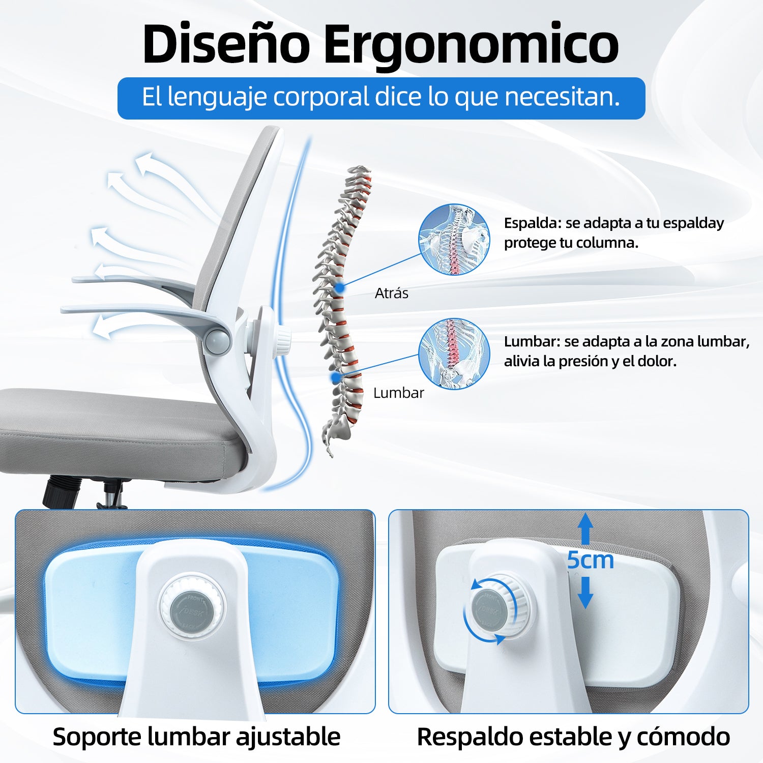 Silla de Oficina Giratoria Regulable en Altura y Lumbar Apta Gris