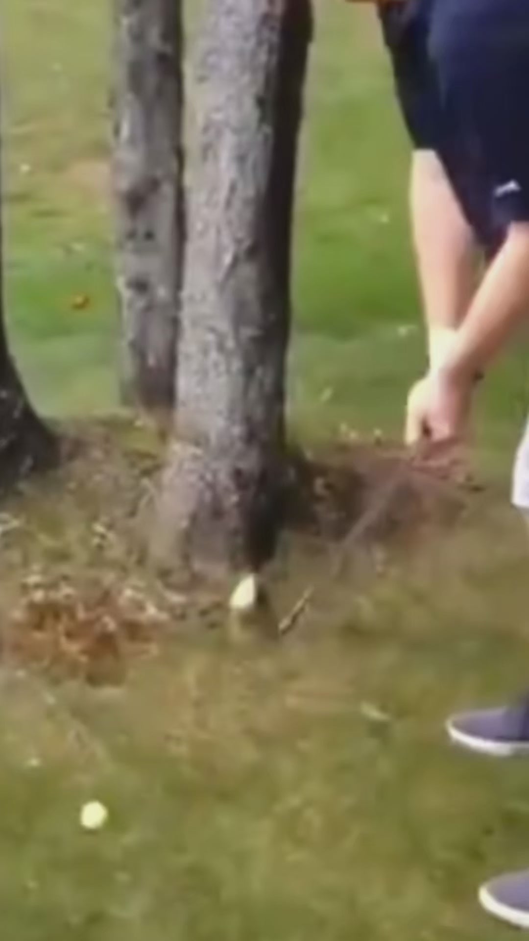 Silla Ergonómica de Oficina con Reposapiés Soporte Lumbar Reposacabezas Ajustable Reposabrazos Altura Inclinable Gris + Negro